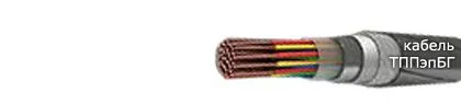 Кабель ТППэпБГ 600х2х0,5-200